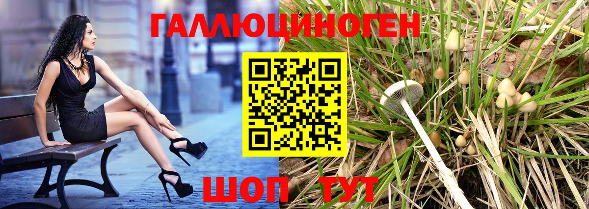 Псилоцибиновые грибы Psilocybine cubensis Соль-Илецк